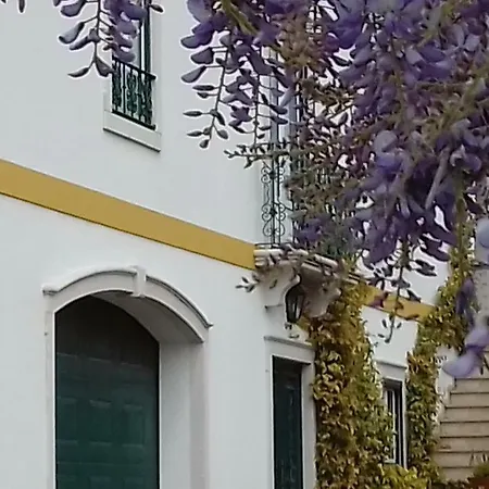 Tipica Casa Portuguesa Villa *